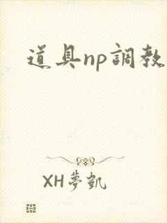 道具np调教文