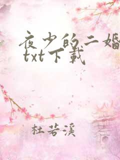 夜少的二婚新妻 txt下载 夜少的二婚新妻 txt下载