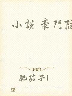 小说 豪门隐婚