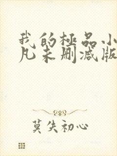 我的极品小姨叶凡未删减版