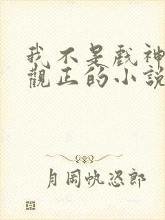 我不是戏神是三观正的小说吗