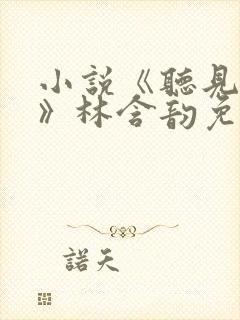 小说《听见以后》林含韵免费阅读