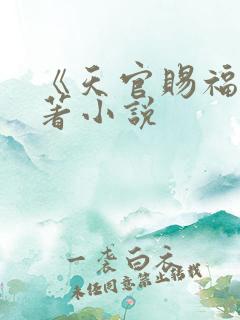 《天官赐福》原著小说