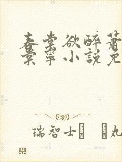 春棠欲醉萧厌宋棠宁小说免费阅读
