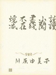 烧不尽小说无删减在线阅读