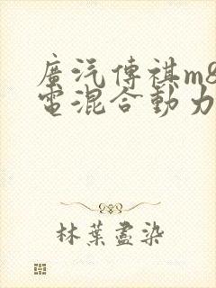 广汽传祺m8油电混合动力