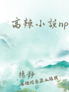 高辣小说np
