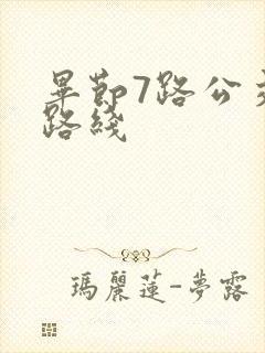 毕节7路公交车路线