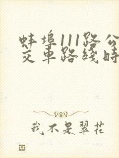 蚌埠111路公交车路线时间表查询
