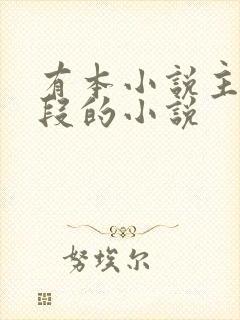 有本小说主角姓段的小说