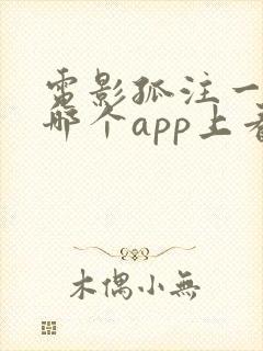 电影孤注一掷在哪个app上看