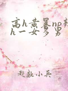 高h黄暴np辣h一女多男