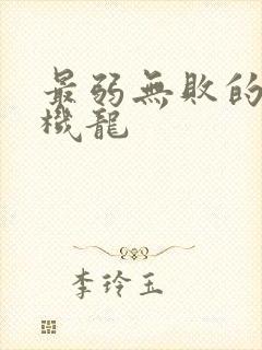 最弱无败的神装机龙