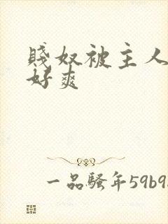 贱奴被主人虐玩好爽