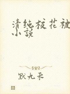 清纯校花被侵犯小说