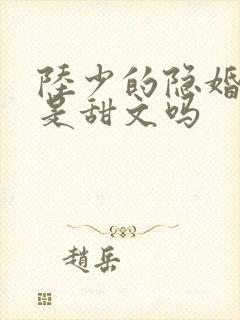 陆少的隐婚罪妻是甜文吗