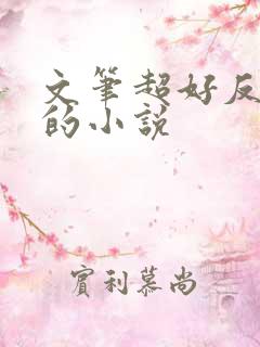 文笔超好反复看的小说