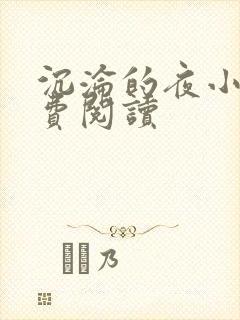 沉沦的夜小说免费阅读
