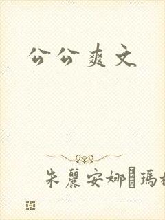 公公爽文