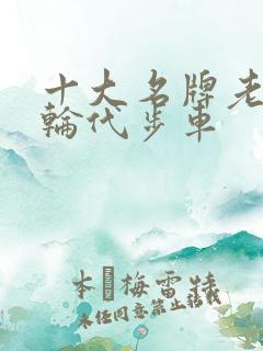 十大名牌老年四轮代步车