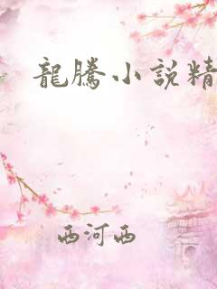 龙腾小说精品网