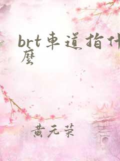 brt车道指什么
