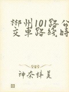 郴州101路公交车路线时间表 郴州101路公交车路线时间表