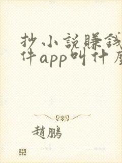 抄小说赚钱的软件app叫什么