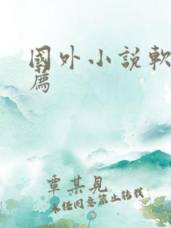 国外小说软件推荐