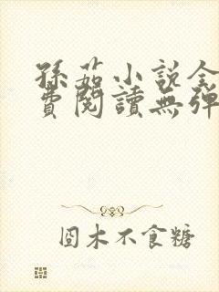 孙茹小说全文免费阅读无弹窗