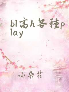 bl高h各种play
