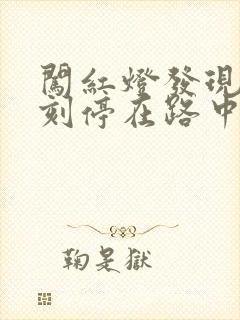闯红灯发现后立刻停在路中间 闯红灯发现后立刻停在路中间