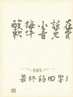 酸梅小说在哪个软件看免费