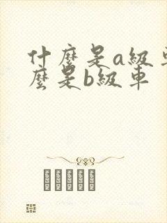 什么是a级车什么是b级车
