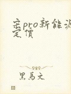 宋pro新能源定价