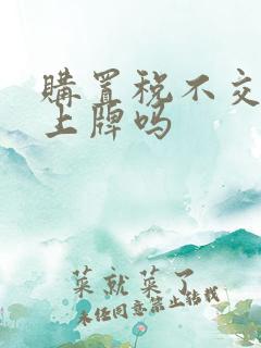 购置税不交可以上牌吗