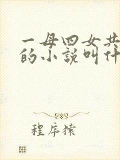 一母四女共一婿的小说叫什么
