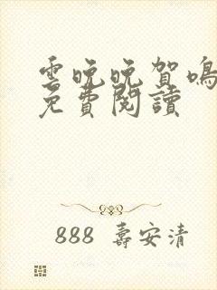 云晚晚贺鸣小说免费阅读