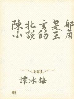 陈北玄是哪一部小说的主角