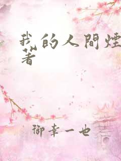 我的人间烟火原著