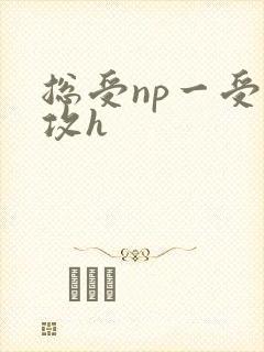 总受np一受多攻h