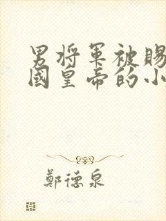 男将军被赐给敌国皇帝的小说