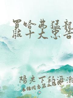 买哈弗猛龙燃油版十大忠告