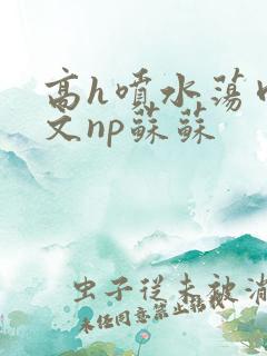 高h喷水荡肉爽文np苏苏
