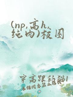 (np,高h,纯肉)校园