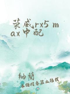荣威rx5 max中配