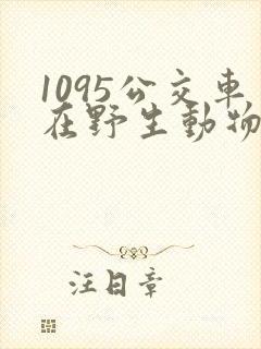 1095公交车在野生动物园停靠时间表