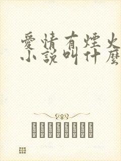 爱情有烟火原著小说叫什么