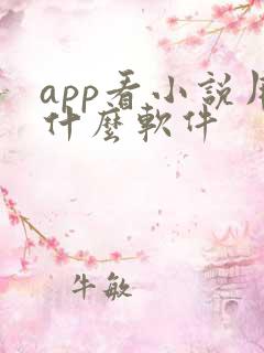 app看小说用什么软件