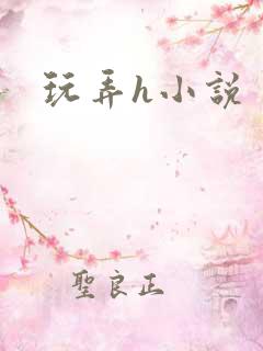 玩弄h小说
